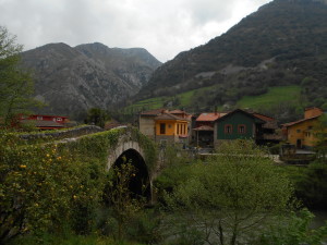 DSCN1585